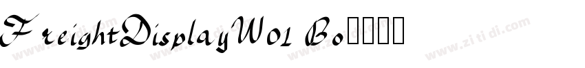 FreightDisplayW01 Bo字体转换